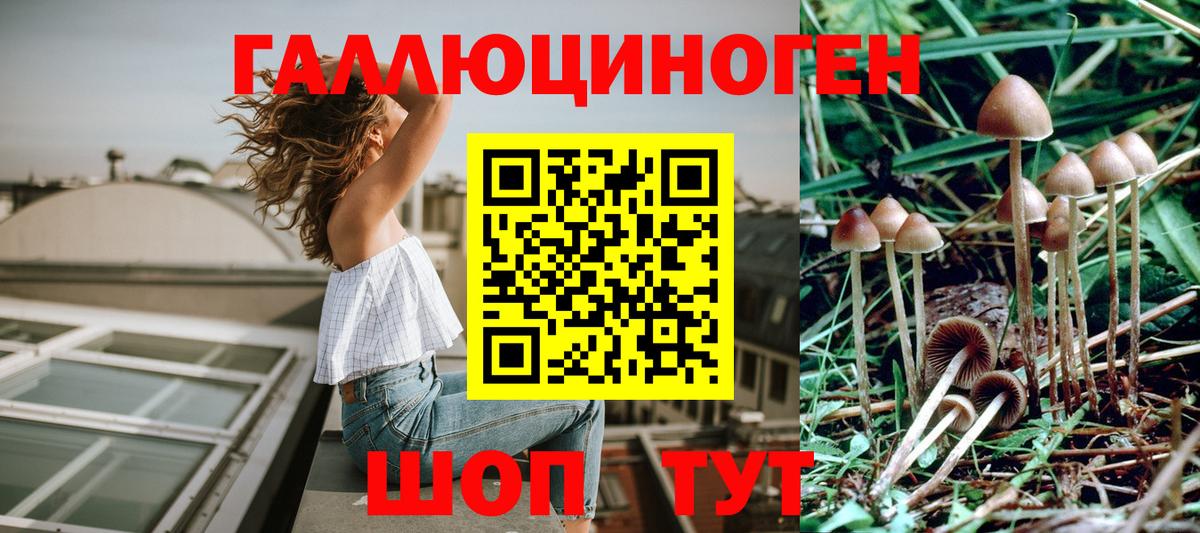 Псилоцибиновые грибы Magic Shrooms Асино