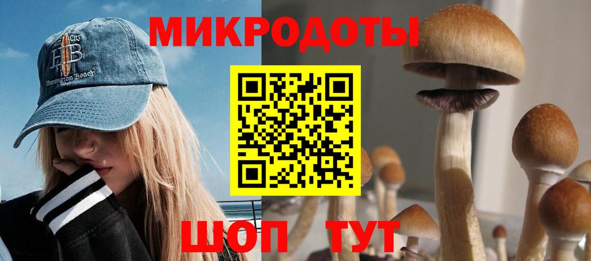 Галлюциногенные грибы прущие грибы  Вход с VPN  Асино  Галлюциногенные грибы Psilocybine cubensis 